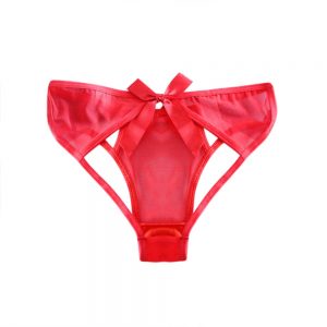 Women's Mesh Lingerie Knickers G-string Thongs Panties Underwear Briefs
