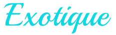 Exotic Lingerie